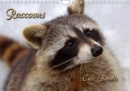 Raccoons / UK-Version 2019 : Cute Bandits - Book