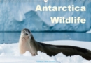 Antarctica Wildlife / UK-Version 2019 : Antarctica Wildlife: Penguins, seals and whales in the ice world - Book