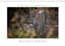 Emotional Moments: Big Cats of the World / UK-Version 2019 : Whether Tiger, Leopard or Lion - the big wild cats of the world are extremely popular motifs. Ingo Gerlach GDT has selected the most beauti - Book