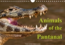 Animals of the Pantanal / UK Version 2019 : Portraits of animals taken from the boat or during deer-stalking - Book