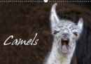 Camels / UK-Version 2019 : Expressive portraits of camels - Book