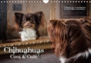 Chihuahuas - Cool & Cute / UK-Version 2019 : They are small, cheeky, cool, sweet and awfully, Chihuahuas. Who loves unusual dog pictures is right here. - Book