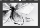 Plants in black and white / UK-Version 2019 : Forest and grassland plants in black and white - Book