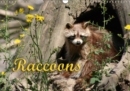 Raccoons / UK-Version 2019 : Loveable bandits - Book