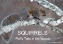 SQUIRRELS / UK-Version 2019 : Fluffy Tails in the Woods - Book