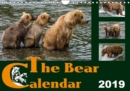The Bear Calendar / UK-Version 2019 : Brown Bears - 36 fascinating photos in a calendar - Book
