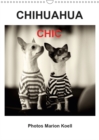 CHIHUAHUA CHIC Photos Marion Koell / UK-Verison 2019 : The cute little Chihuahuas Brownie and Maya in very pretty dresses - Book
