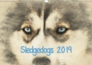 Sledgedogs 2019 / UK-Version 2019 : The calendar is designed in ornate watercolor style so that each image looks like work of art. - Book
