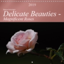 Delicate Beauties - Magnificent Roses 2019 : The rose: Queen of the flowers - Book