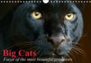 Big Cats * Faces of the most beautiful predators 2019 : The world's biggest and most beautiful cats - Book