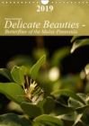 Delicate Beauties - Butterflies of the Malay Peninsula 2019 : Tropical butterflies in their natural environment - Book