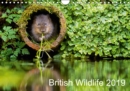 British Wildlife 2019 2019 : A collection of British wildlife - Book