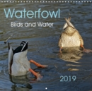 Waterfowl Birds and Water 2019 : Ducks,geese,gulls,herons-they are all waterfowl. - Book