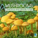 Mushrooms - Delicious and deadly fungi 2019 : Fungi - The strange and wonderful forms of mushrooms - Book
