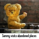 Sammy visits abandoned places 2019 : Teddy bear going astray - Book