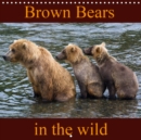 Brown Bears in the wild 2019 : 12 stunning photos of brown bears - Book