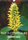 Fleurs tropicales / organiseur familial 2019 : La splendeur des fleurs tropicales magnifiques dans leur habitat naturel - Book