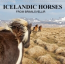 ICELANDIC HORSES from BRIMILSVELLIR 2019 : ICELANDIC HORSES - Book