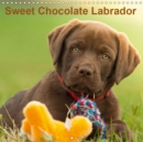 Sweet Chocolate Labrador 2019 : Chocolate labrador puppy 9 weeks old - Book