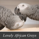 Lovely African Greys 2019 : Unique photos of beautiful grey parrots - Book
