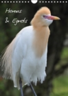 Herons & Egrets 2019 : A cosmopolitan bird family - Book