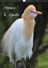 Herons & Egrets 2019 : A cosmopolitan bird family - Book