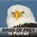 Birds Of Prey In Portrait 2019 : Birds Of Prey In Portrait - Bird Photo Calendar by birdimagency.com - Book