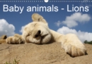 Baby animals - Lions 2019 : Sweet lion cubs - Book