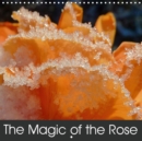 The Magic of the Rose 2019 : Beautiful and radiant roses presented in various colours and varieties. - Book