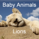 Baby Animals - Lions 2019 : Sweet lion cubs - Book