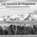 Les Glaciers de l'Argentine 2019 : Champs de glace imposants du sud de la Patagonie en noir et blanc. - Book