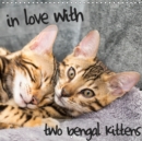 in love with 2 bengal kittens 2019 : Two kittens of a beautiful breed will bring you joy the whole year. - Book
