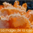 La magie de la rose 2019 : De magnifiques roses lumineuses, de varietes et de couleurs differentes. - Book