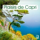 Plaisirs de Capri 2019 : L'ile de Capri : ete, soleil, mer - Book