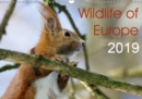 Wildlife of Europe 2019 2019 : Enjoy wonderful shots of the European wildlife throughout the year with this stunning calendar for the nature-lover. - Book