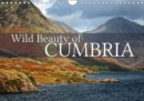 Wild Beauty of Cumbria 2019 : Discover Cumbria's rural and wild beauty - Book