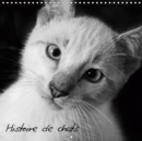 Histoire de chats 2019 : Photos de chats tous plus craquants les uns que les autres ! - Book