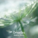 Ombelles 2019 : La carotte sauvage - Book