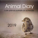 Animal Diary 2019 : Diary with lovely animal portraits - Book