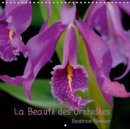 La Beaute des Orchidees 2019 : Des fleurs fascinantes au formes variees - Book