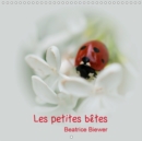Les petites betes 2019 : Les jolies petites betes de nos jardins - Book