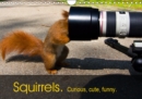 Squirrels. Curious, cute, funny. 2019 : Funny, small, nimble creatures that everyone likes to watch - Book