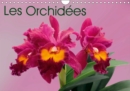 Les Orchidees 2019 : Les orchidees exotiques - Book