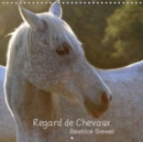 Regard de Chevaux 2019 : Toute la douceur dans le regard d'un cheval - Book