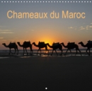 Chameaux du Maroc 2019 : Trekking avec des chameaux au Maroc - Book