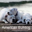 American Bulldog 2019 : True grit. True devotion. True love. - Book