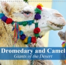Dromedary and Camel - Giants of the Desert 2019 : Frugal giants in the desert sand - Book