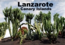 Lanzarote - Canary Islands 2019 : Fantastic Views - Book