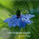 Merveilleuse Nigelle 2019 : Une merveilleuse petite fleur, la Nigelle de Damas - Book