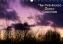 The Pinkfoot Goose Collection 2019 : Collection of colourful images from the life of Pink-footed Geese. - Book